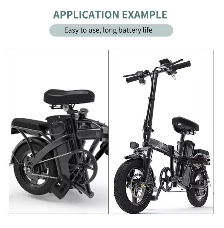 36V Li Ion Battery Electric Bicycle Electric Bike Battery 48v 20ah For Ebike Conversion Kit