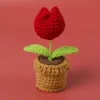 Tulipán Rojo + Mini Bol de Lana Pequeño