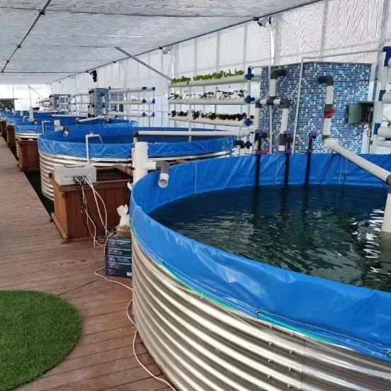 Aquaponics System Complete Growing Recirculating Aquaculture System With Fish Farming