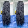 burmese curly