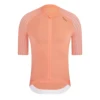 Blush YJZ2041