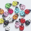 Mixed Color -011