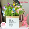 Nouveau sac de câlin anglais de 5 paquets de camomille de couleurs mélangées