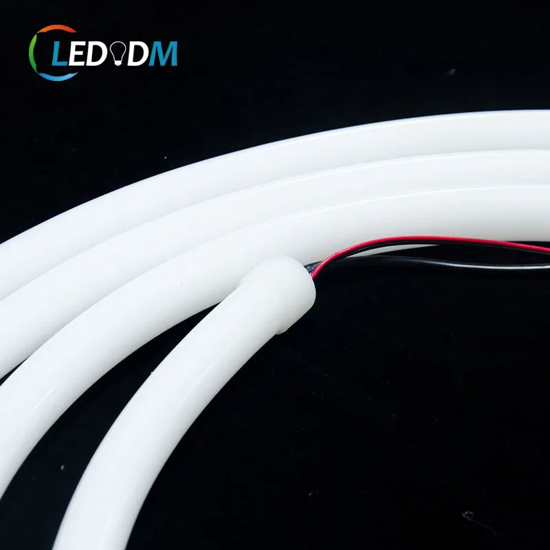 DC12v 24v Ws2811 Addressable Pixel Colorful RGB Neon Round 260 Angle Beam Strip Light 5m 10m Neon Led Flexible Strips Lights