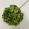 Vert foncé