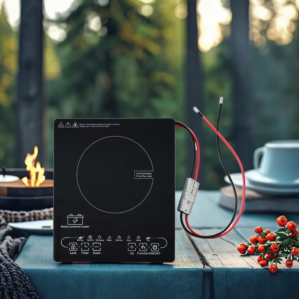 Competitive Price OEM/ODM Solar Single Hotpot Cookware DC24V 48V Induction Cooker Cooktop Cooking Stove