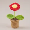 Red Daisy