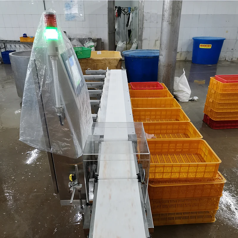Multi Grade Weighing Sorter Weight Sorting Machine for Seafood Fish Meat Poultry