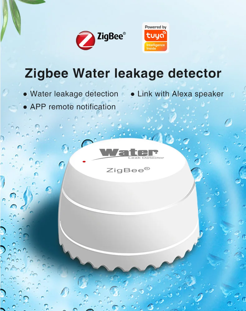 Zigbee-SQ500B (1).jpg