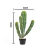 80cm