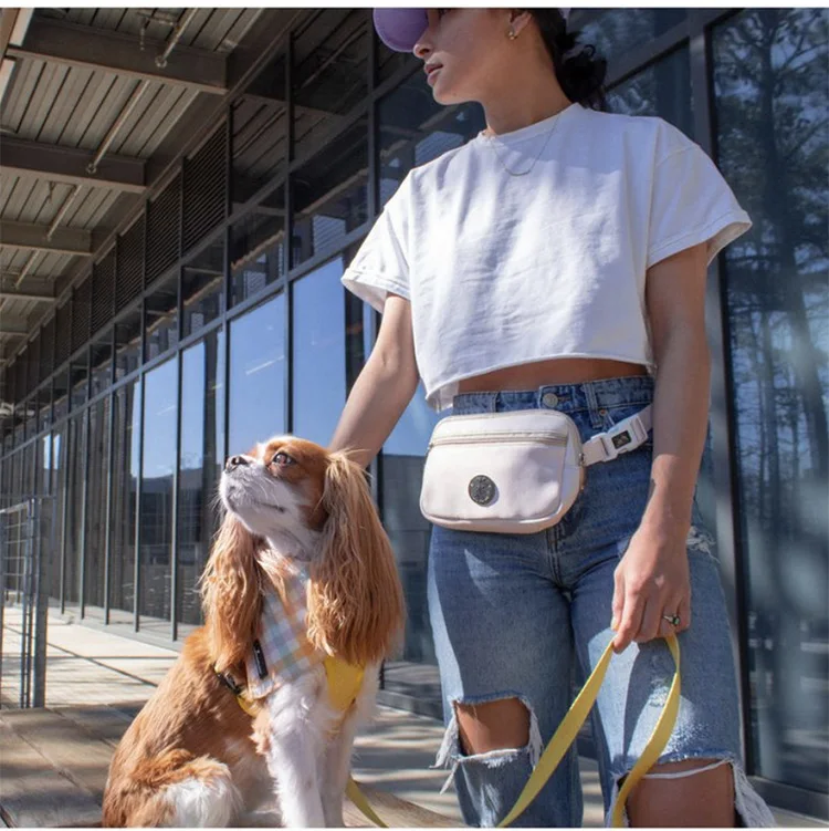 Waterproof Designer Crossbody Fanny Pack Pet Belt Bum Waist Bag Dog Mom