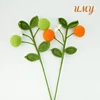 only one Kumquat