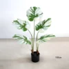 สีเขียว-100ซม