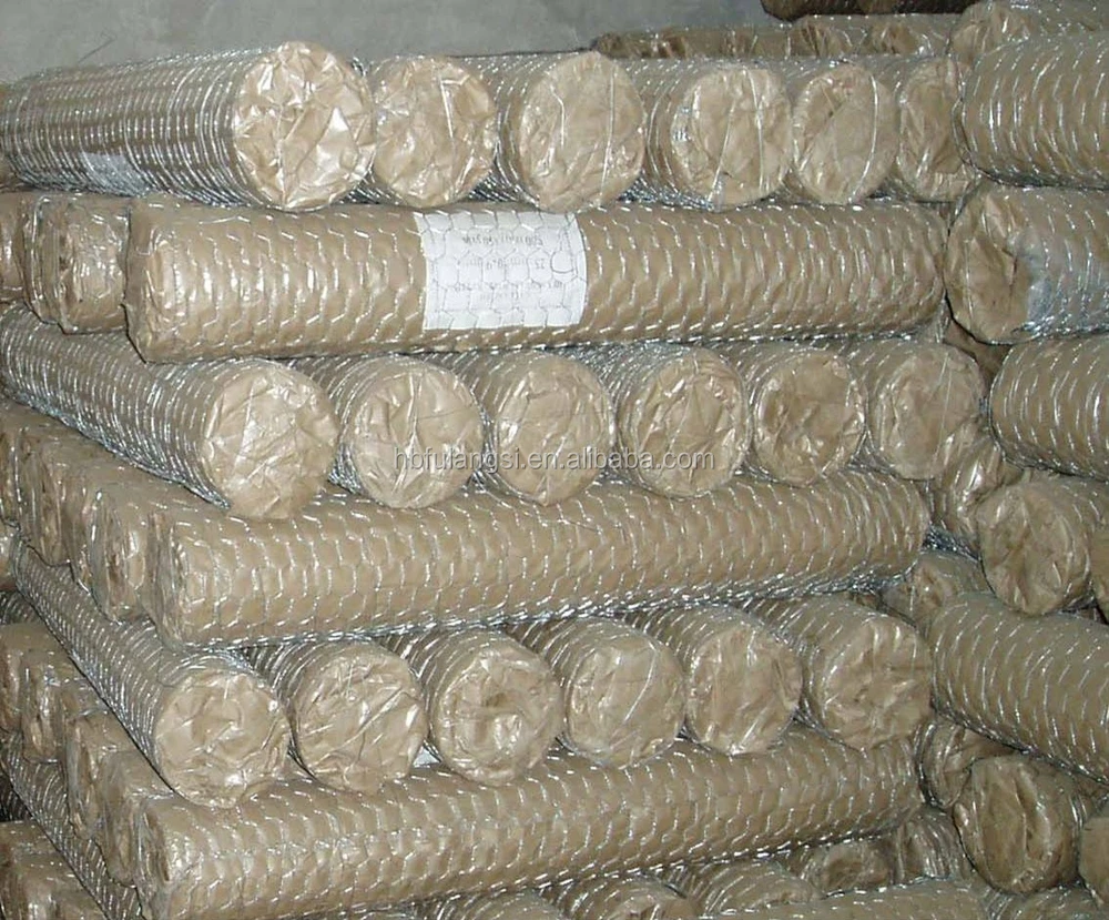 Galvanized Chicken Wire Mesh for Plaster