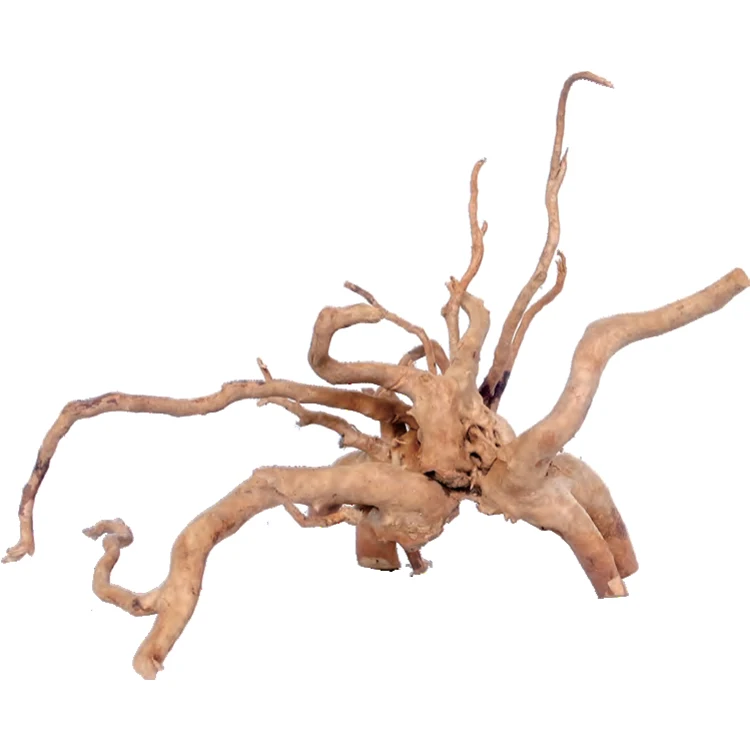 Factory Price Wood Root Natural Spider Wood Aquarium Azalea Wood