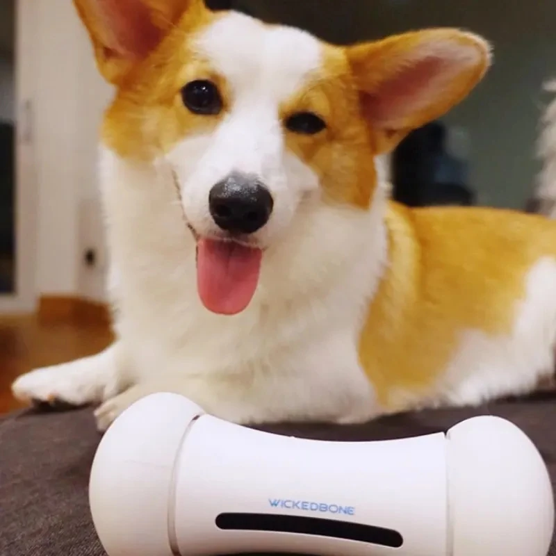Worlds First Smart and Interactive Dog Toy Wickedbone APP Mode Dog Bone Pet Dog Movement Rolling APP Toy