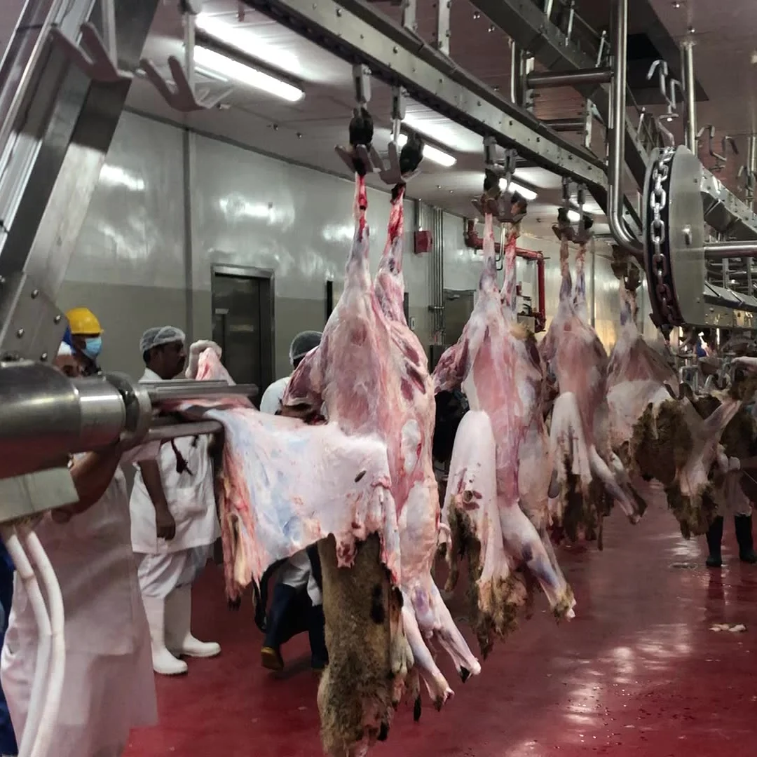 Automatic live goat lamb ram african slaughtering machine slaughterhouse