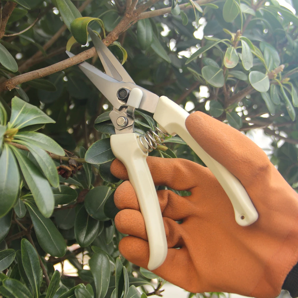 Small Fruit Tree Pruning Shears Potted Plant Garden Repair Scissors