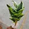 35cm
