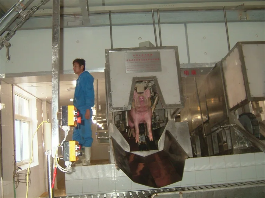 Special pig slaughtering production line with bone removal and cutting machine for pig slaughtering and slaughterhouse