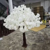 Bianco 2
