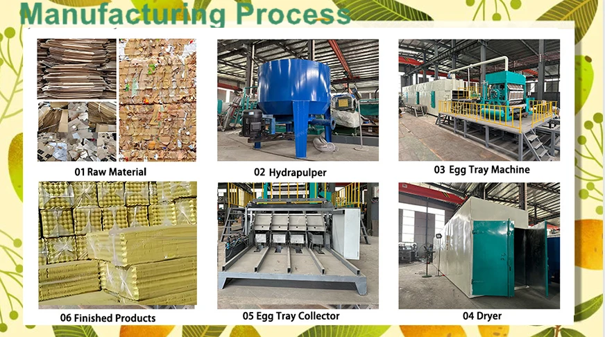 Fully Automatic Egg Tray Making Machinery, Directly Sold By Suppliers factory