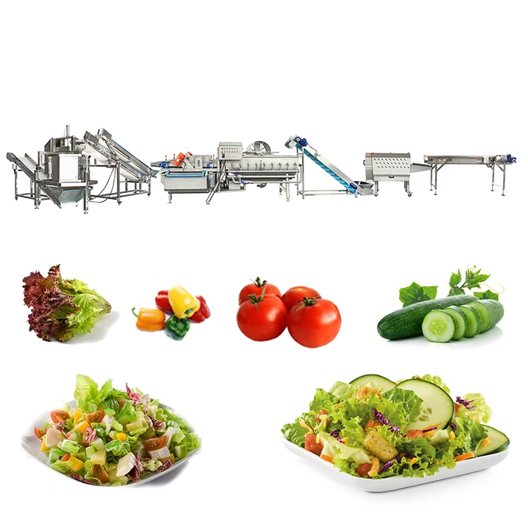 Salad Vegetable Production System Industrial Vegetable Washing Cutting Drying Processing Line