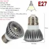 Silvery-e27