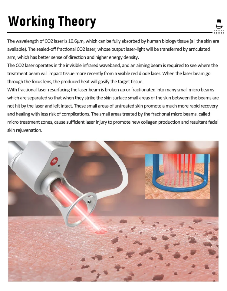 2 in 1 CO2 Fractional Laser+ Q Switch Skin Care Machine for Skin Carbon Peel Professional Fractional Skin Firm