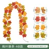 Rotin à feuilles d'érable à 21 têtes (types AB)