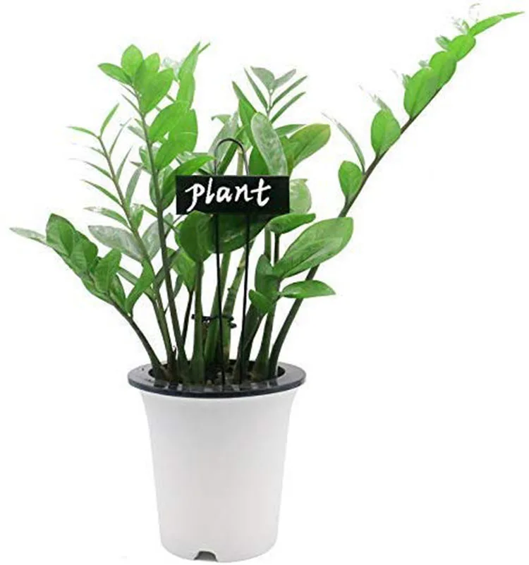 Metal Plant Labels Garden Markers Tags Buy Plant Labels Free Garden