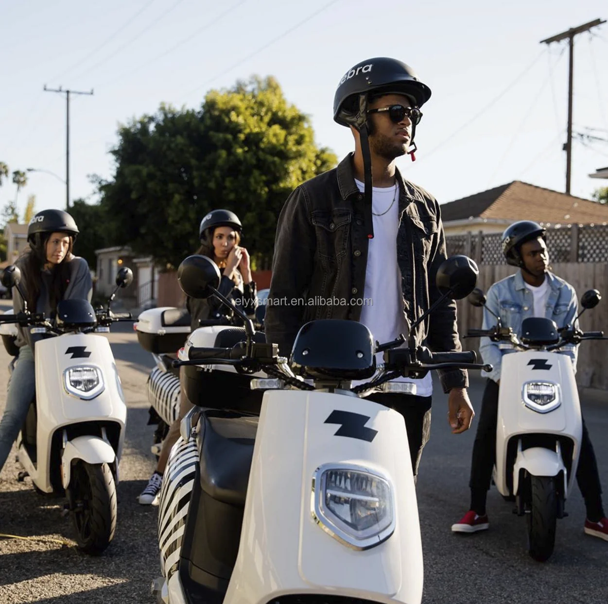 Elyx Zebra Ebike Moped Electric Scooter Parts Battery Charger Replace Dpc350w 70 Dazz E Scooter