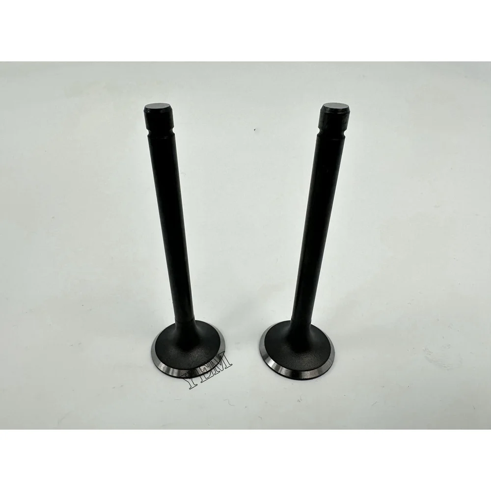 Z650 Intake Valve for Kubota Engine Parts Factory