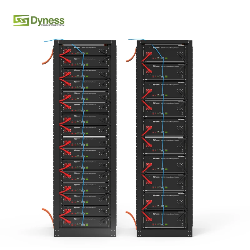Dyness Lv1 48v Rear Rack Lithium Battery 48v 50ah Battery Module Rack Mounted  48v 500ah Server Rack Energy Storage System