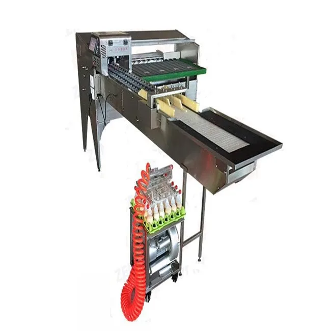Egg Grading Machine/egg Sorting Machine/egg Grader for Sale Egg Grading Packing Machine