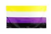 rainbow flags O
