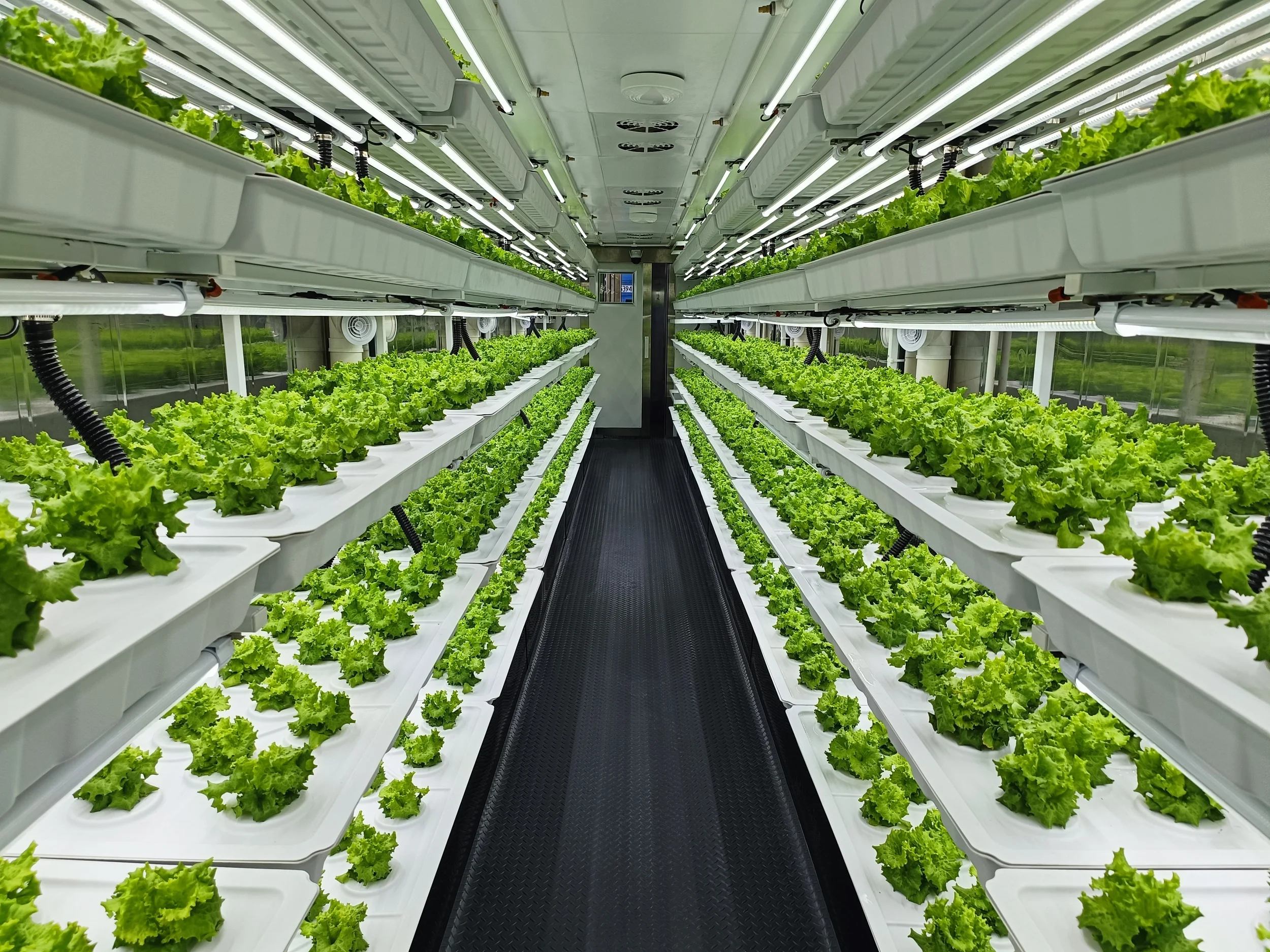 9+ Hydroponic Shipping Container Vertical Hydroponic Shipping Farms - Best Quality 40ft Containers