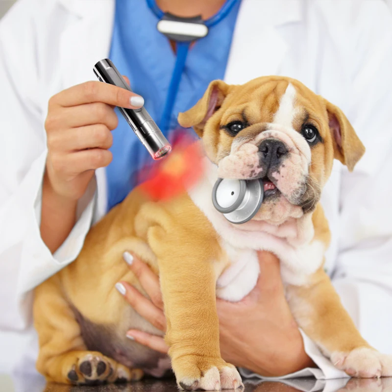 Infrared Light 3 Level Red Light  630nm/660nm/850nm for Pain Relief Safety Class 3 Laser for Wound Healing Pet Care