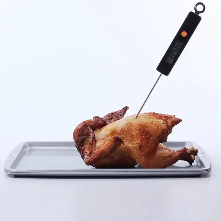 Pen-style Digital Food Thermometer 304 Stainless Steel ABS Plastic BBQ Digital Thermometer