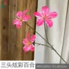Lirio iridiscente de tres cabezas LYS, rosa intenso