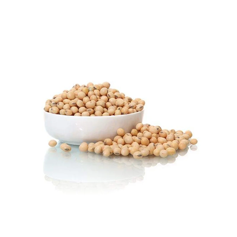 Nongmo Soya Beans For Sale Yellow Soybeans Soybeans For The Best