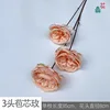 3-headed bract rose YB 8 pink champagne