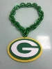 Packers di Green Bay