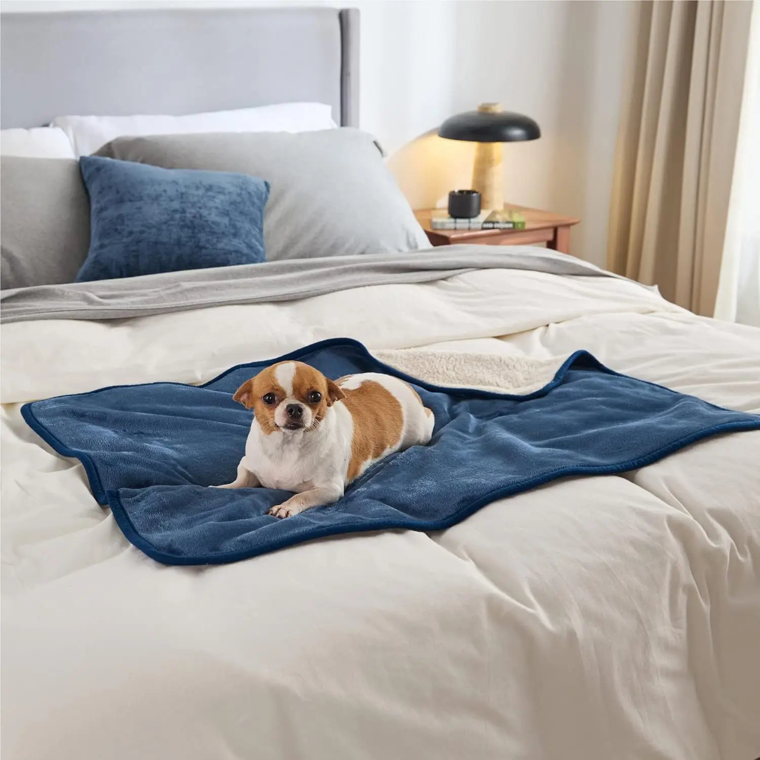 Custom Size Waterproof Soft Reversible Waterproof Flannel Sherpa Fleece Pet Blanket for Sofa and Bed Cover