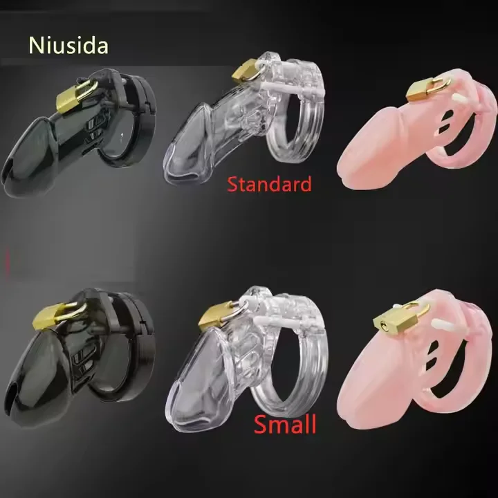 Male Chastity Cage Device Small/Standard Cock Cage with Rings Erotics Urethral Brass Lock Locking