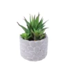 Aloès artificiel et succulente dans un pot en ciment