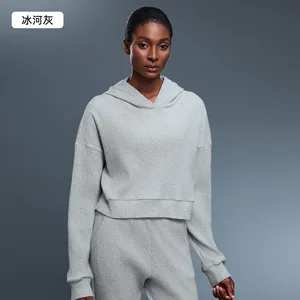 Women's Sweatshirt Hooded Casual Autumn Knitted Solid Color Short Sports Regular Sleeve