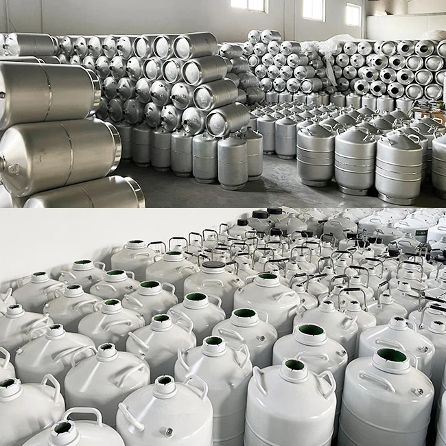 Cryogenic Liquid Nitrogen Tank Use 1.5mm 2mm Cryo Pen Liquid Nitrogen Pen Freezing Heads for Skin Spot Mole Removal