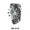 TBS 8132