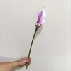 violet YL80450-1